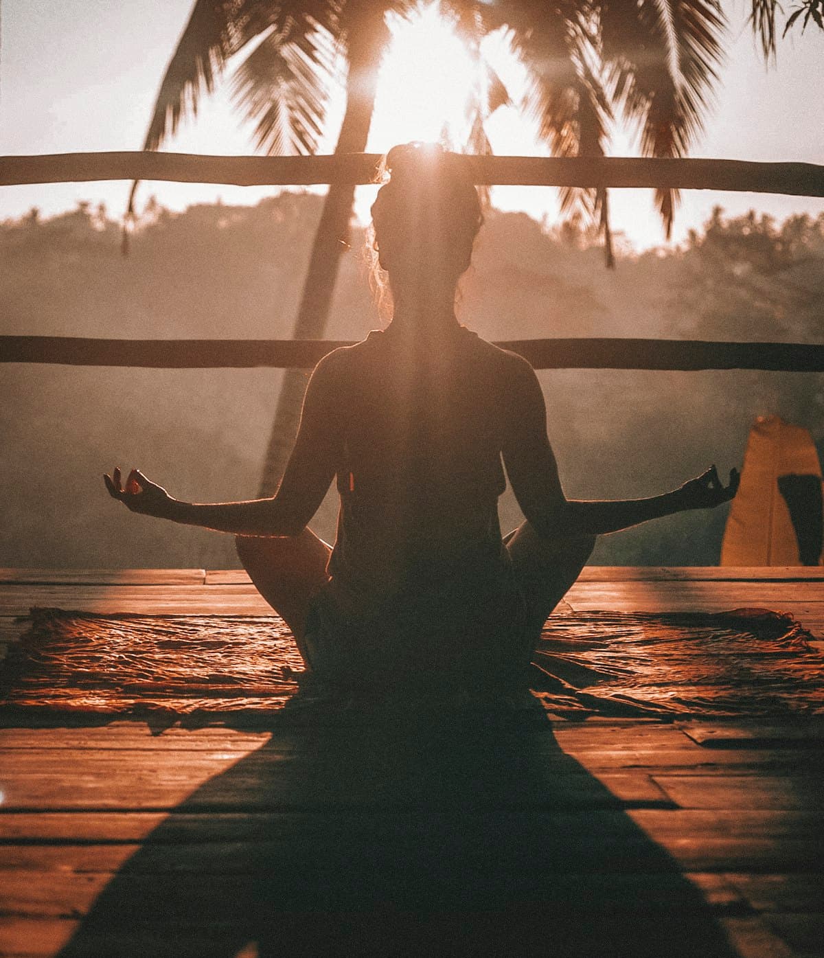 Healthy lifestyle and wellness